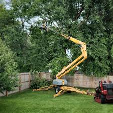 Best Seasonal Cleanup (Spring/Fall)  in Highgrove, CA