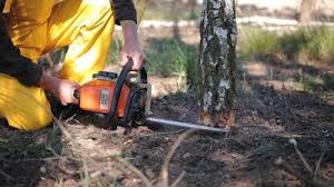 Best Lawn Irrigation Installation and Maintenance  in Highgrove, CA