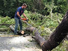 Best Lot and Land Clearing  in Highgrove, CA