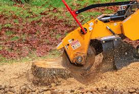 Best Lawn Pest Prevention  in Highgrove, CA