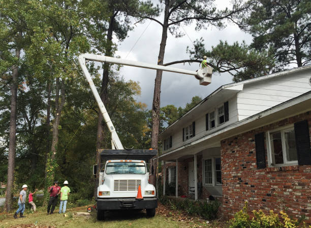 Best Tree Risk Assessment  in Highgrove, CA